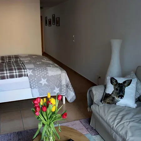 Ferienwohnung Mollner Altstadt * Мельн